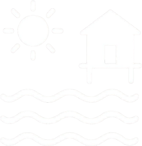 Licencias de Conducir